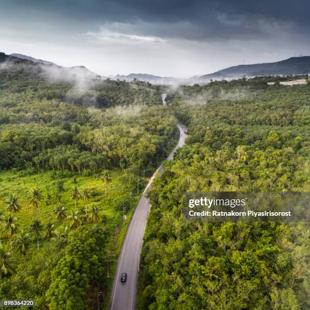 aerial view of road with forrest beside - road top view stock pictures, royalty-free photos & images