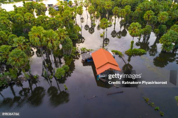 thailand floods, natural disaster, aerial photograph - natural disaster stock pictures, royalty-free photos & images