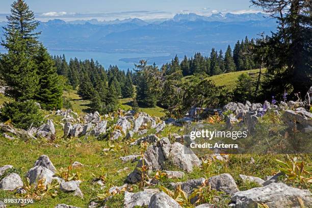 View from La Dele, mountain of the Jura, canton of Vaud, overlooking Lake Geneva and Alpine mountain peaks of the Swiss Alps in Switzerland.