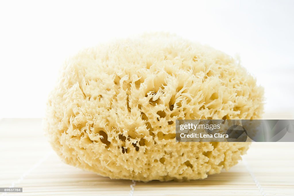 Close up of a bath sponge