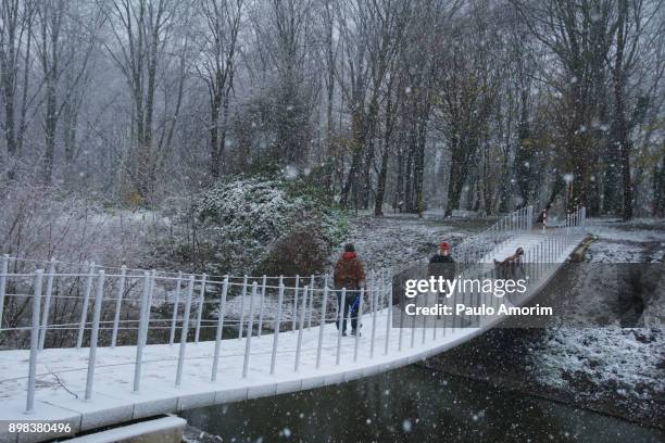 people enjoying at park covered in snow - clima stock pictures, royalty-free photos & images