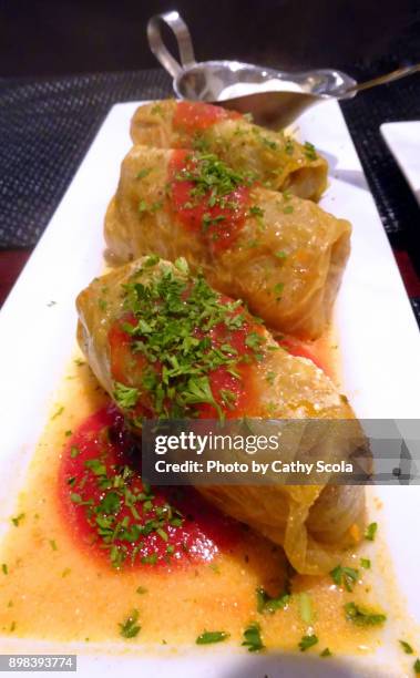 stuffed cabbage rolls - cabbage roll stock pictures, royalty-free photos & images