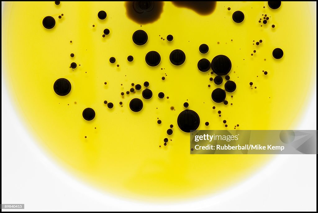 Close up of oil and balsamic vinegar