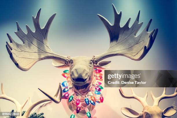 christmas home decor - jagdtrophäe stock-fotos und bilder