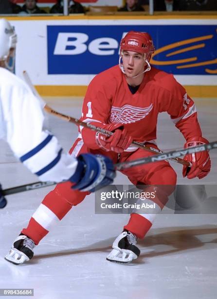 Toronto Maple Mathiue Mathieu Dandenault Photos and Premium High Res Pictures - Getty Images