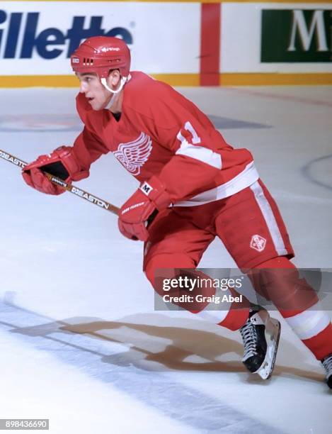 Toronto Maple Mathiue 544 Mathieu Dandenault Photos & High Res Pictures - Getty Images
