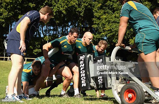 Australian Rowing Training Session Photos and Premium High Res Pictures ...