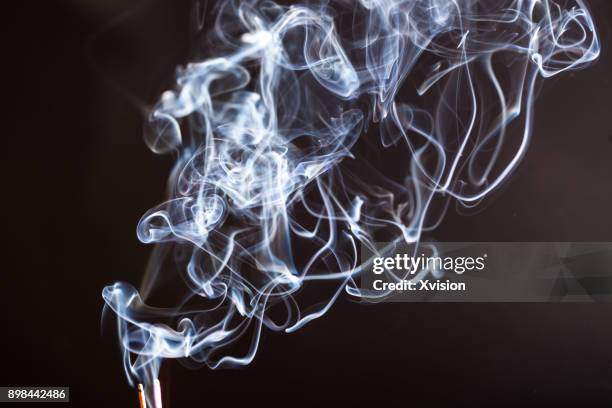 144 Macro Fag Stock Photos High Res Pictures And Images Getty Images 144-macro-fag-stock-photos-high-res-pictures-and-images-getty-images