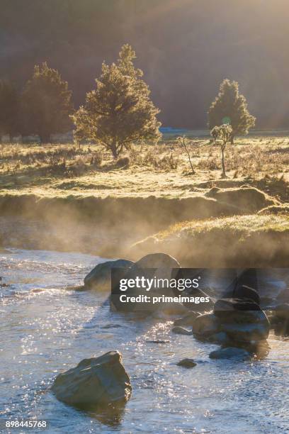 wunderschöne landschaft landschaft von den lake matheson fox-gletscher und durch die alpen berge und täler neu zealand - nationalpark mount cook stock-fotos und bilder