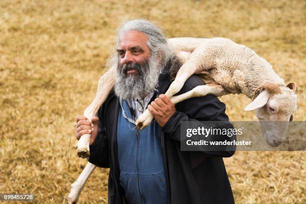 farmer holding a sheep - herders stock pictures, royalty-free photos & images