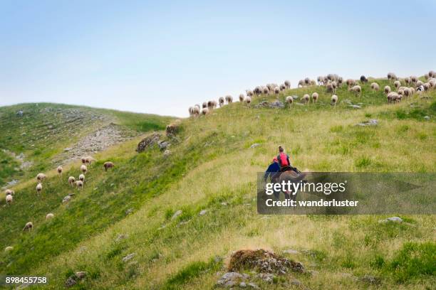 adolescent, monter à cheval dans les montagnes des abruzzes, italie - chien de berger photos et images de collection