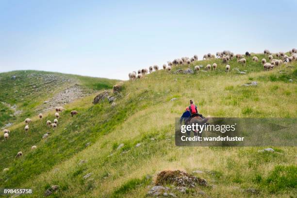 teen riding a horse in abruzzo mountains, italy - abruzzo national park stock pictures, royalty-free photos & images
