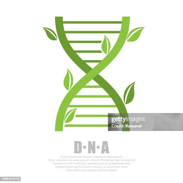 524 Dna Tree Stock Photos, High-Res Pictures, and Images - Getty Images