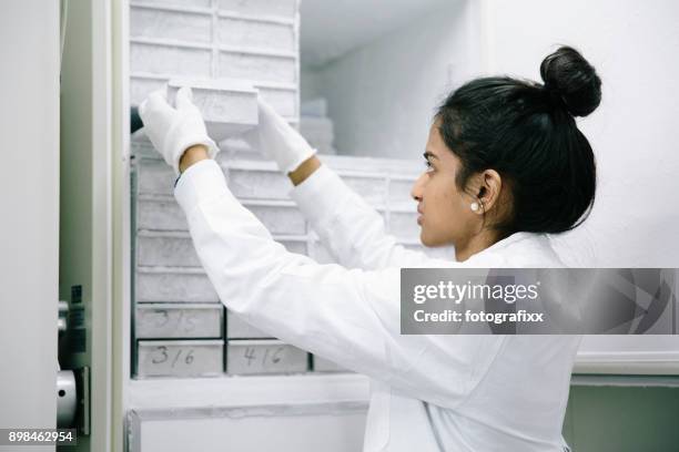 jonge vrouw staande voor een vriezer van laboratorium - yeast laboratory stockfoto's en -beelden