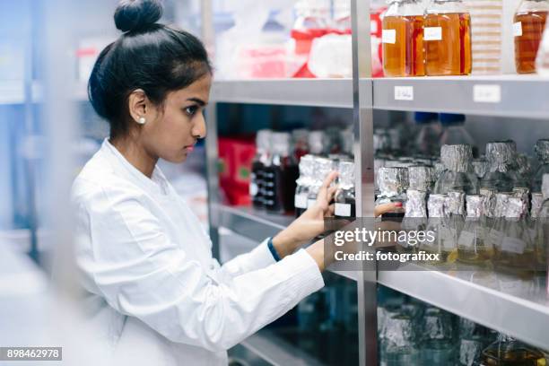 young woman standing in a cold storage room from laboratory - yeast laboratory stock pictures, royalty-free photos & images