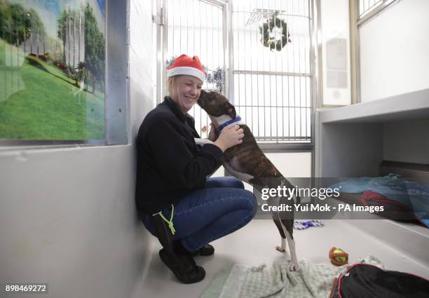 Becky Fisher, rehoming and welfare manager at Battersea Dogs &amp; Cats Home in London, with Queen, a female seven-year-old Staffordshire bull...