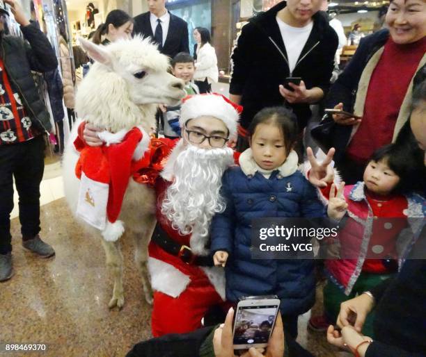 Children pose for photos with a worker dressed as Santa Claus and an alpaca at a shopping mall on Christmas Eve on December 24, 2017 in Shaoxing,...