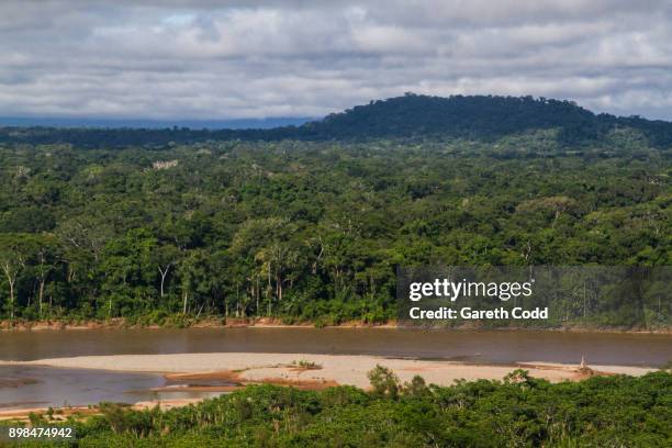 madidi national park, bolivia - amazon rainforest stock pictures, royalty-free photos & images