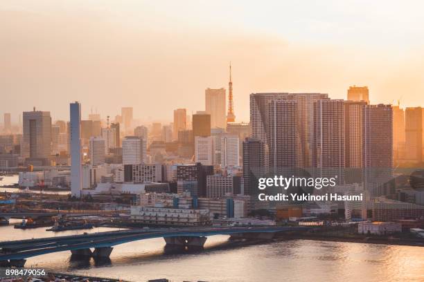 tokyo bay skyline - toyosu stock-fotos und bilder