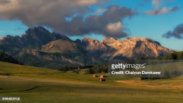 mountain hut in the pastures of colbleggio. in the background the peaks of the latemar. carezza, dolomites, south tyrol, italy. - chalet mountain foto e immagini stock