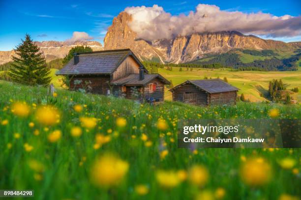 mountain hut in the pastures of colbleggio. in the background the peaks of the latemar. carezza, dolomites, south tyrol, italy. - gebirgskette latemar stock-fotos und bilder