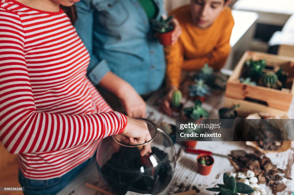 Terrarium zu Hause machen