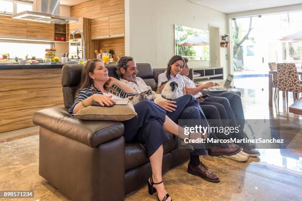 dog sitting quietly with family at leisure time in the living room - lypsesp17 stock pictures, royalty-free photos & images