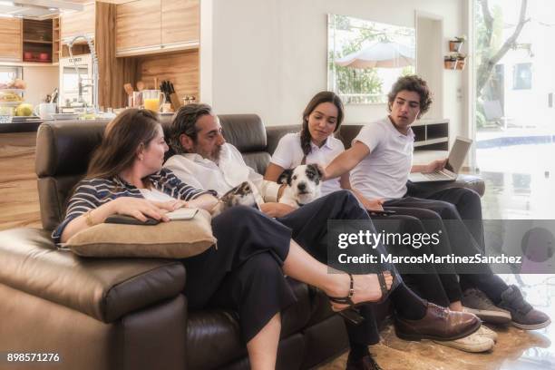 dog sitting quietly with family at leisure time in the living room - lypsesp17 stock pictures, royalty-free photos & images