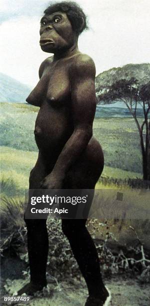 Reconstruction of physical appearance of Lucy, Australopithecus. Her skeleton was discovered in 1974 in Ethiopia by YvesCoppens. She's 3,2 million of...