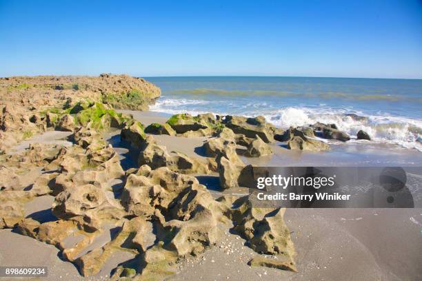 outcroppings at blowing rocks preserve on jupiter island - blowing rocks preserve stock pictures, royalty-free photos & images