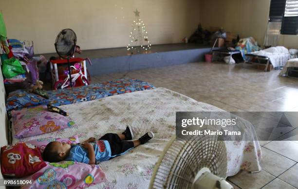 Boy sleeps in a shelter for Hurricane Maria victims on Christmas day on December 25, 2017 in Toa Baja, Puerto Rico. 12 adults and 11 children...