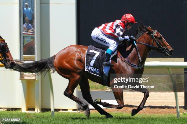 Squillosa ridden by Brooke Sweeney wins the McRae Motors F&M Maiden Plate on December 26, 2017 in Wodonga, Australia.