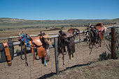 Western riding saddles, bridles and horse blankets drying on wooden corral post