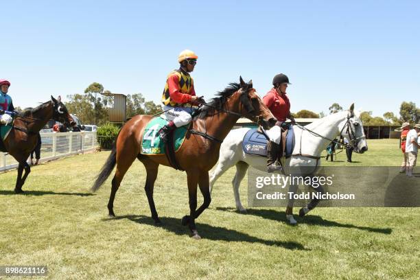 Playfellow ridden by Trent Germaine returns after the Nhill Supa IGA Maiden Plate at Nhill Racecourse on December 26, 2017 in Nhill, Australia.