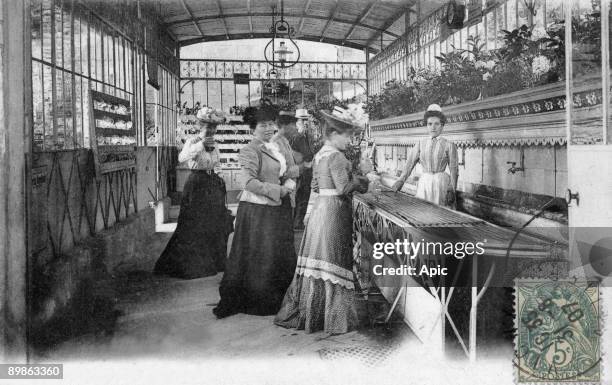 Vichy, France : the Celestins, new spring, postcard, c. 1907