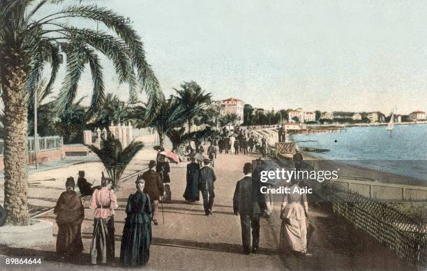 Cannes : the croisette, postcard, c. 1904