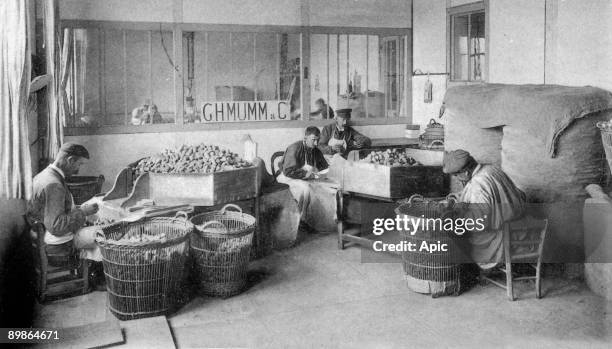 Men sorting Champagne corks at GH Mumm & Cie in Reims , postcard, c. 1900 - 1910