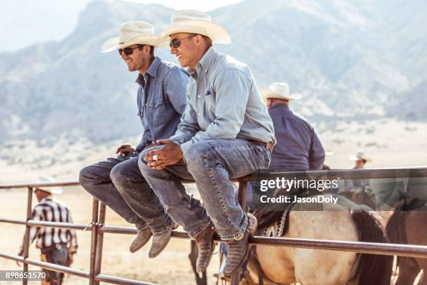牧場的騎馬騎士 - animal macho 個照片及圖片檔
