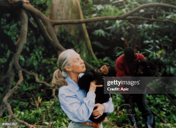 Jane Goodall, English primatologist, ethologist, and anthropologist, with a chimpanzee in her arms, c. 1995