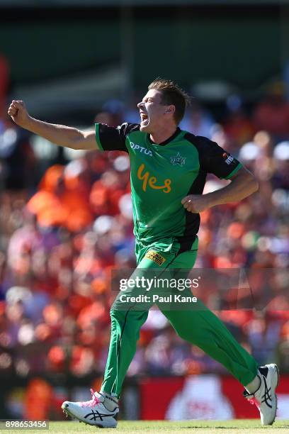 James Faulkner of the Stars celebrates the wicket of Will Bosisto of the Scorchers during the Big Bash League match between the Perth Scorchers and...