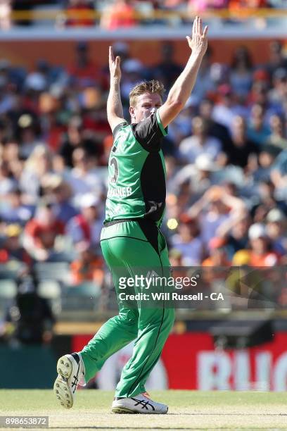 James Faulkner of the Stars appeals for the wicket of Hilton Cartwright of the Scorchers during the Big Bash League match between the Perth Scorchers...