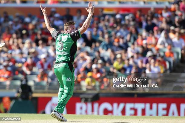 James Faulkner of the Stars appeals for the wicket of Hilton Cartwright of the Scorchers during the Big Bash League match between the Perth Scorchers...