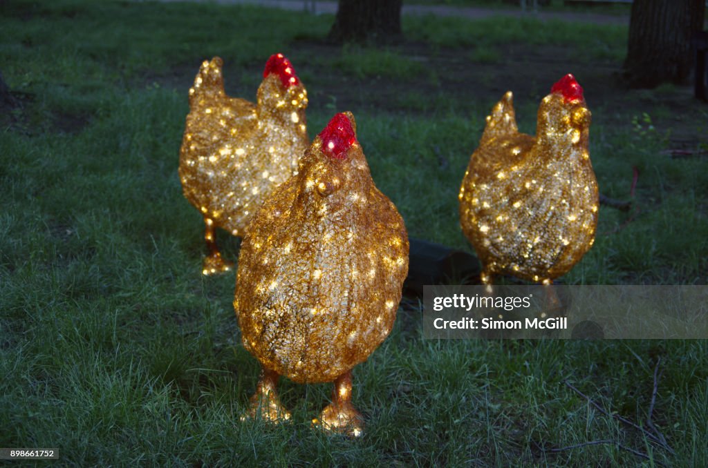 Statues of Three French Hens at Christmas in Glebe Park, Glebe Park, Canberra City, Australian Capital Territory, Australia