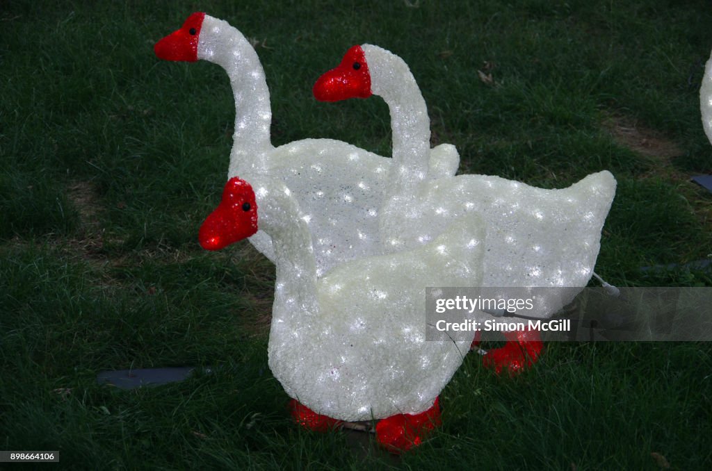 Statues of Geese a-Laying at Christmas in Glebe Park, Glebe Park, Canberra City, Australian Capital Territory, Australia