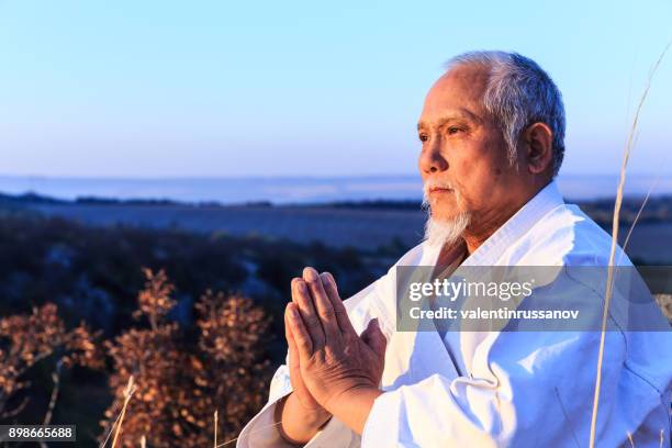 senior teacher sitting in nature and meditating - chinese martial arts stock pictures, royalty-free photos & images