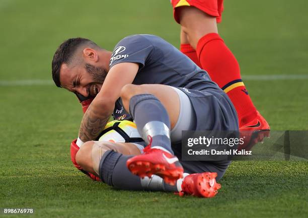 United goalkeeper Paul Izzo reacts during the round 12 A-League match between Adelaide United and the Central Coast Mariners at Coopers Stadium on...