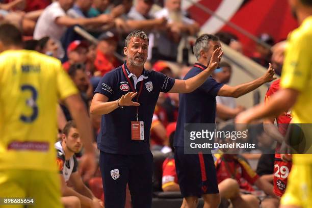 United head coach Marco Kurz reacts during the round 12 A-League match between Adelaide United and the Central Coast Mariners at Coopers Stadium on...