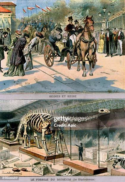 The Rene of Spain by the crowd cheered and the arrival in Paris of a fossil found in diplodocus USA Pictures published in the last pages of Le Petit...