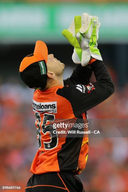 Josh Inglis of the Scorchers celebrates after taking a catch to dismiss John Hastings of the Stars during the Big Bash League match between the Perth...