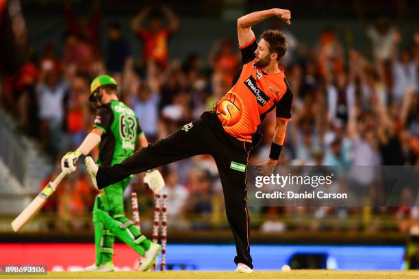 Andrew Tye of the Perth Scorchers celebrates win taking the final wicket during the Big Bash League match between the Perth Scorchers and the...